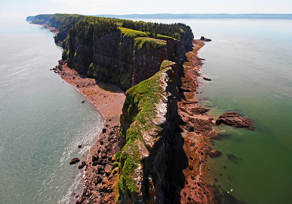An image rendering of big cliffs and rocks by the oceans on a sunny day.