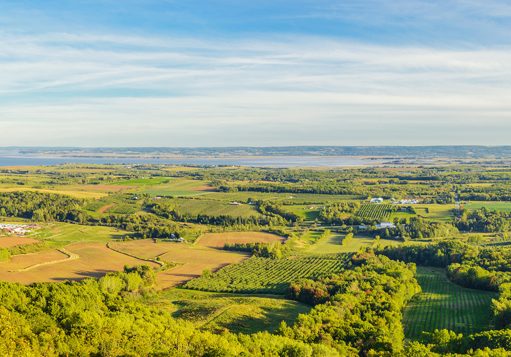 An image rendering of fields, trees, and the ocean on a sunny day.