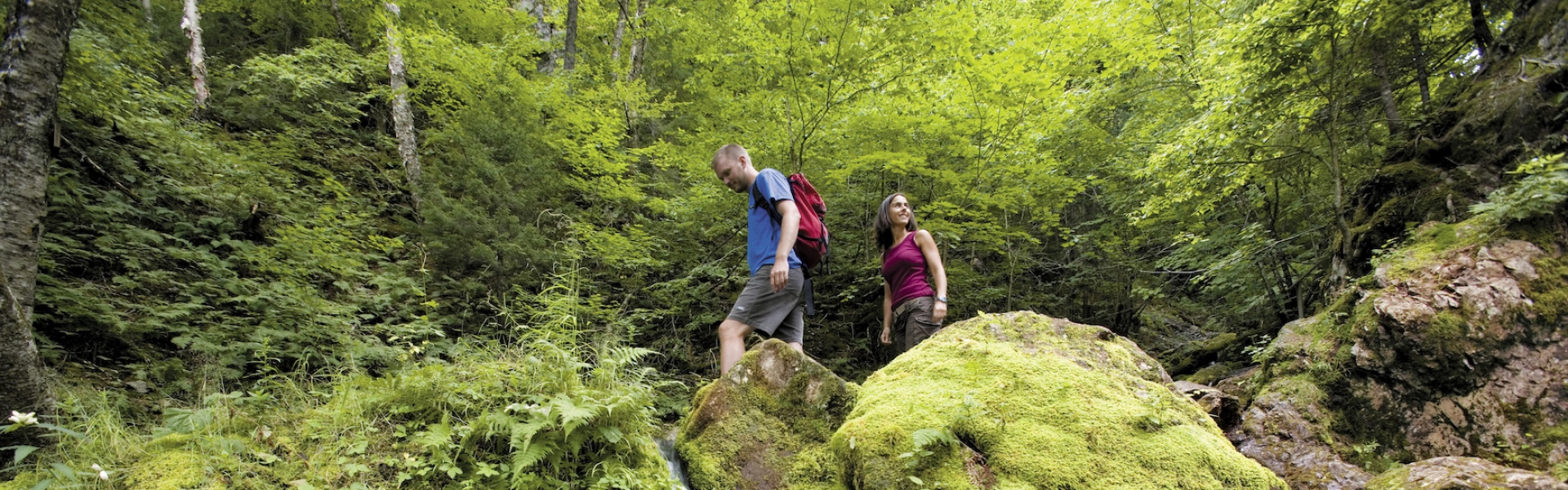 7 Things to Do in New Brunswick 7