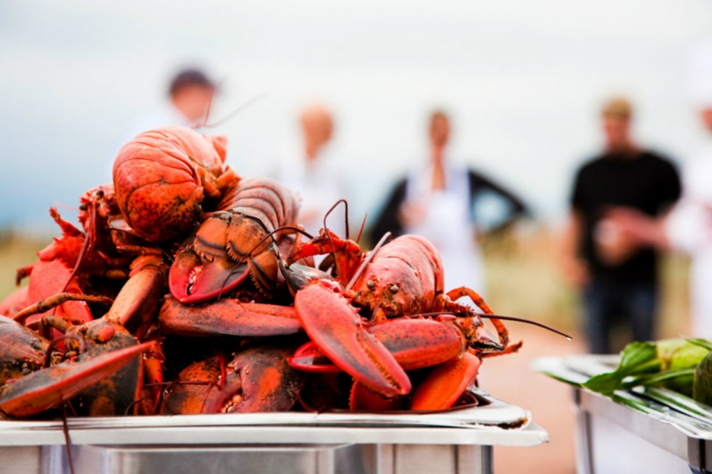 How to Crack a Lobster and Other Maritime Must Knows