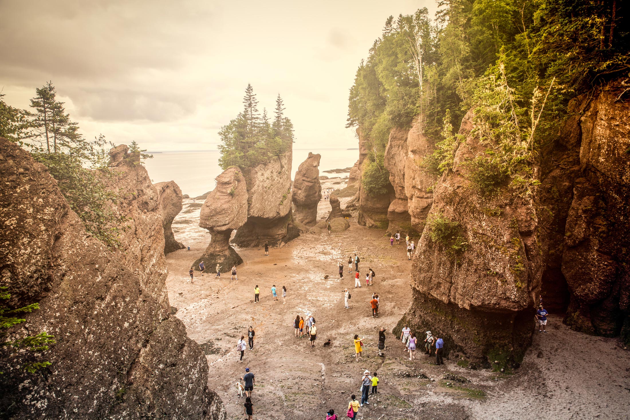 Experience the Bay of Fundy