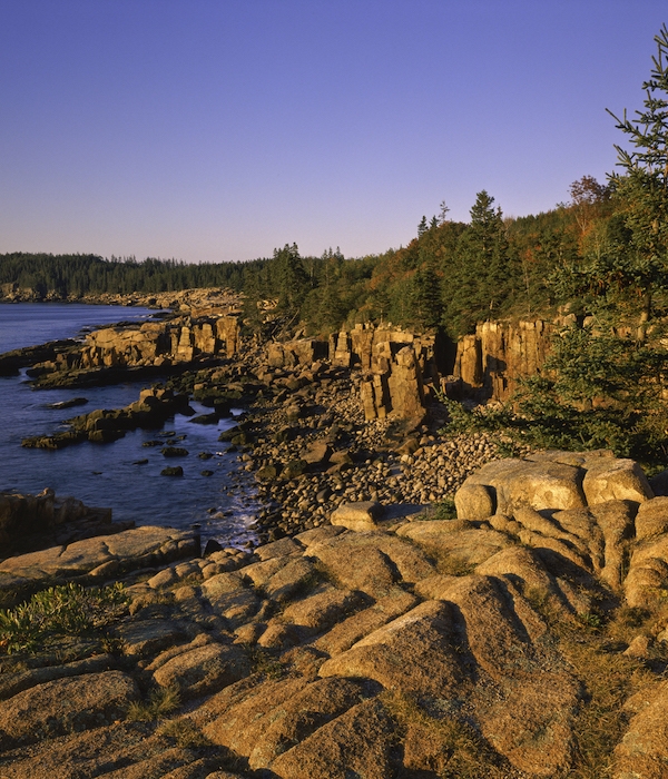 The Best of Bar Harbor