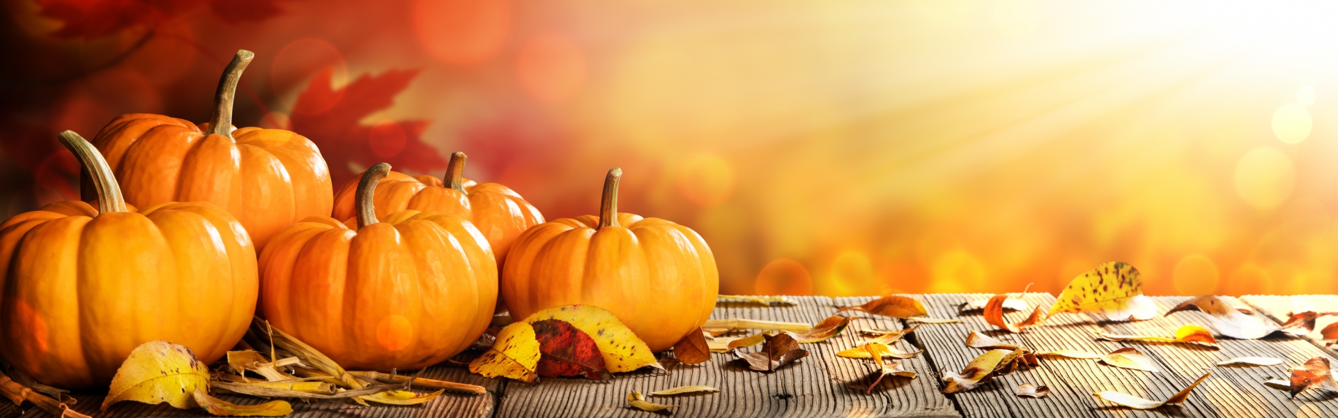 Atlantic Canada Fall Getaway Ideas