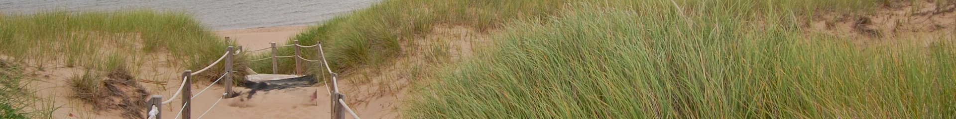 Your Picturesque PEI Vacation 3