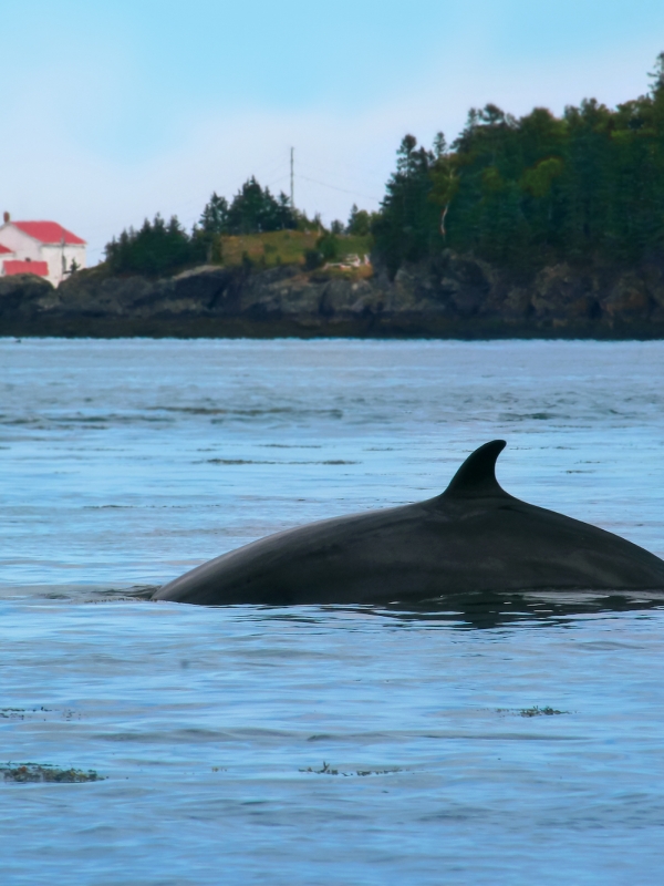 22 Things to do in the Maritimes in 2022 2