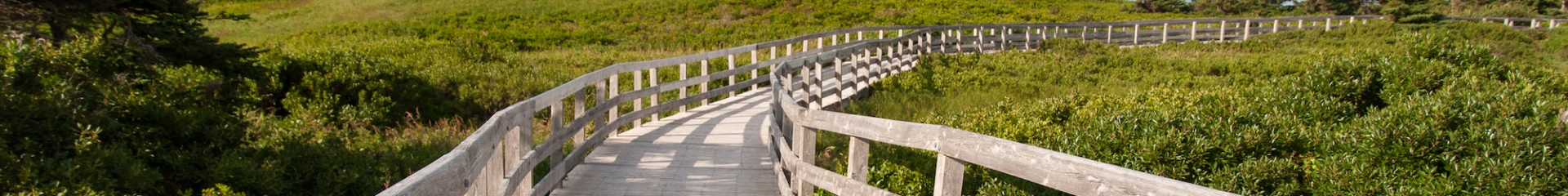 Love is in the Air: Romantic Date Ideas in the Maritimes 1